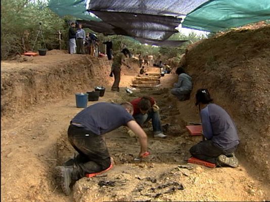  - Exhumación en La Pedraja, Burgos