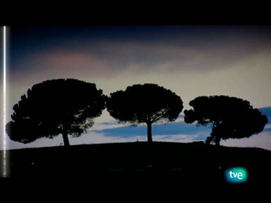 La dieta mediterránea - Azúcar y miel