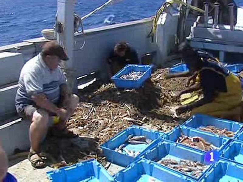 Turismo en la Cofradía de Pescadores de Cataluña