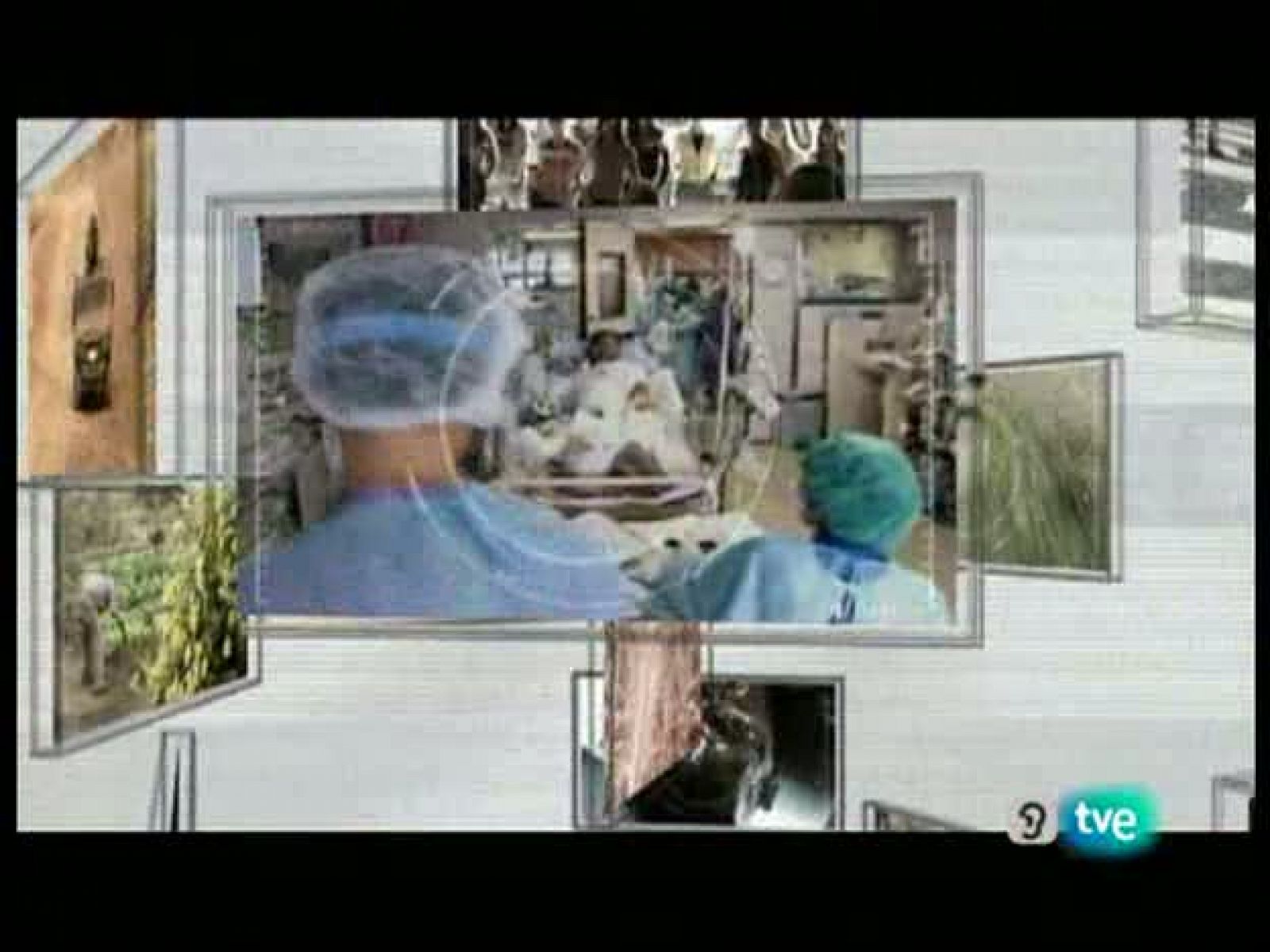 En realidad: Animales muy humanos | RTVE Play