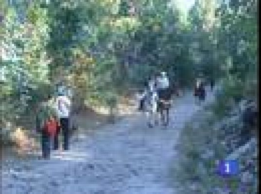  - Cientos de personas acuden para ayudar a buscar a Sonia Iglesias