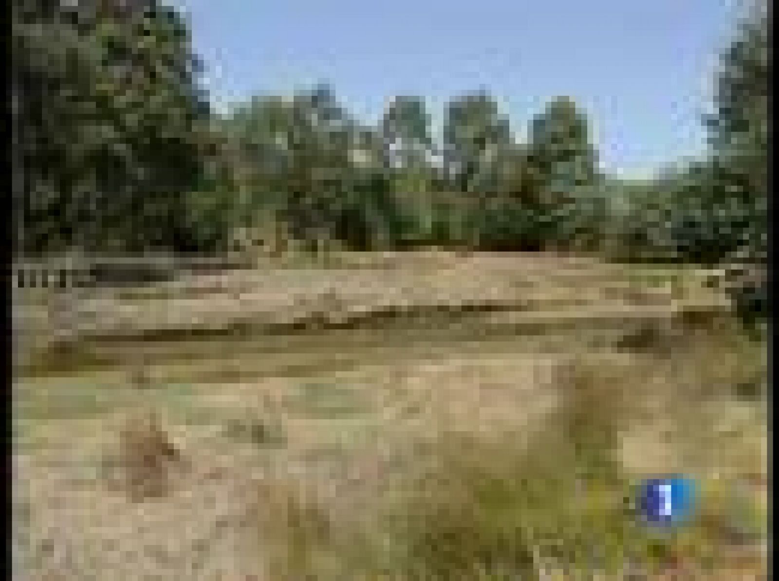 Prosigue la búsqueda de Sonia Iglesias en Pontevedra | Ver