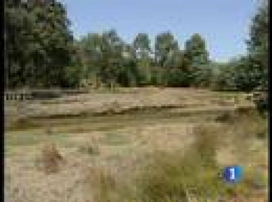  - Continúa búsqueda de Sonia Iglesias