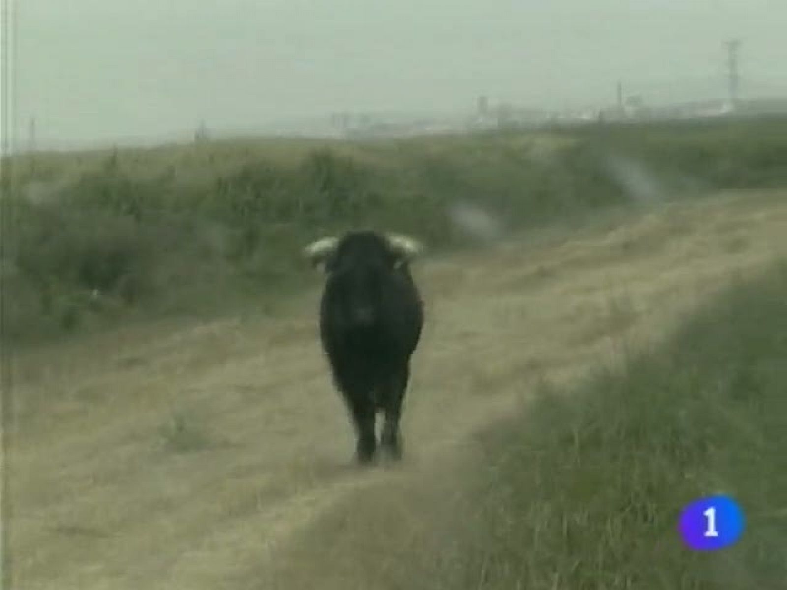 Telenavarra. Informativo Territorial de Navarra (01/09/10)