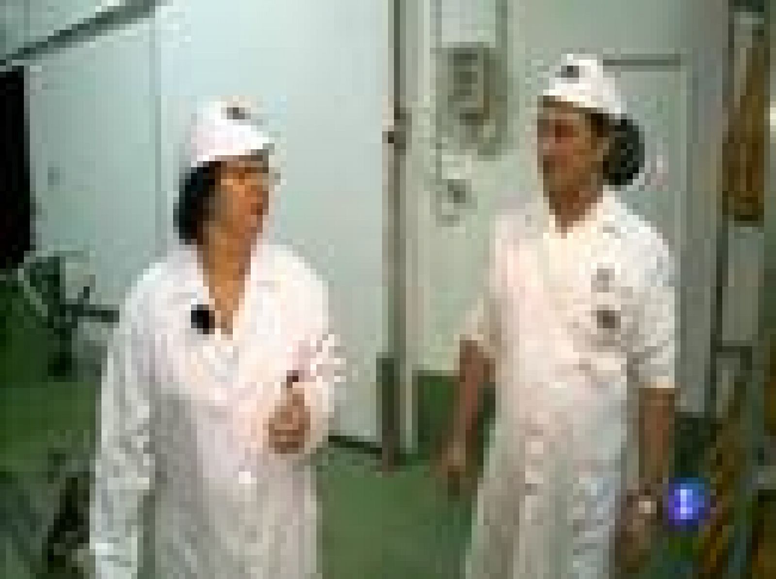 Destino: España - Aragón - Rosa | Ver