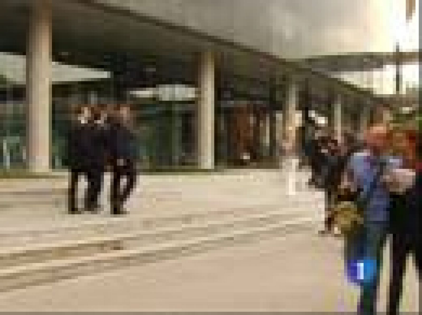 Ibra: 'El filósofo no habló conmigo' | Ver