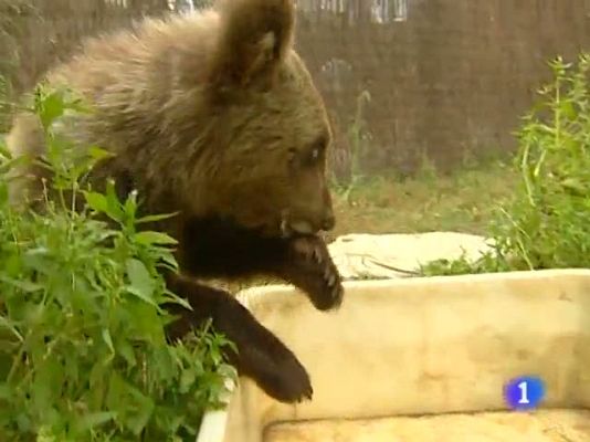 TeleCantabria - Telecantabria - 02/09/10