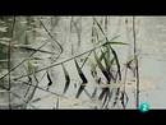 Espacios naturales - Agua litoral