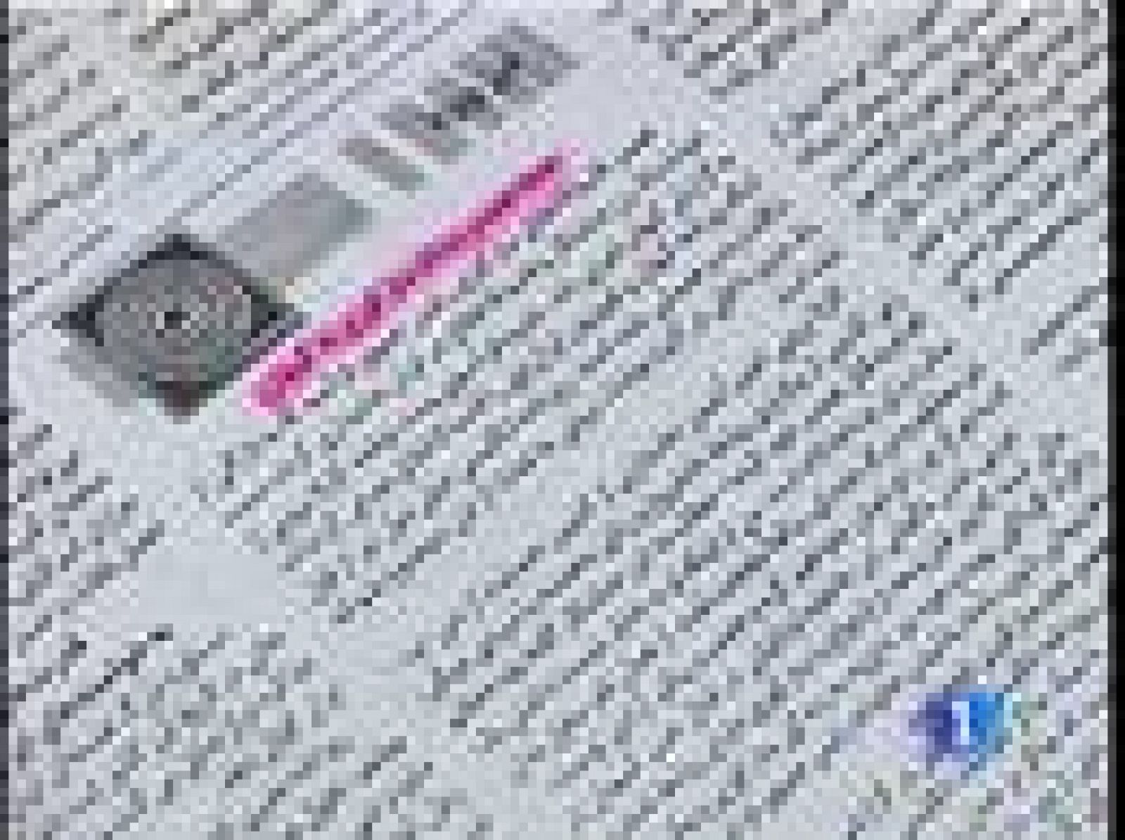 El gobierno ha aprobado un acuerdo en defensa de la iraní Sakiné Astianí | Ver