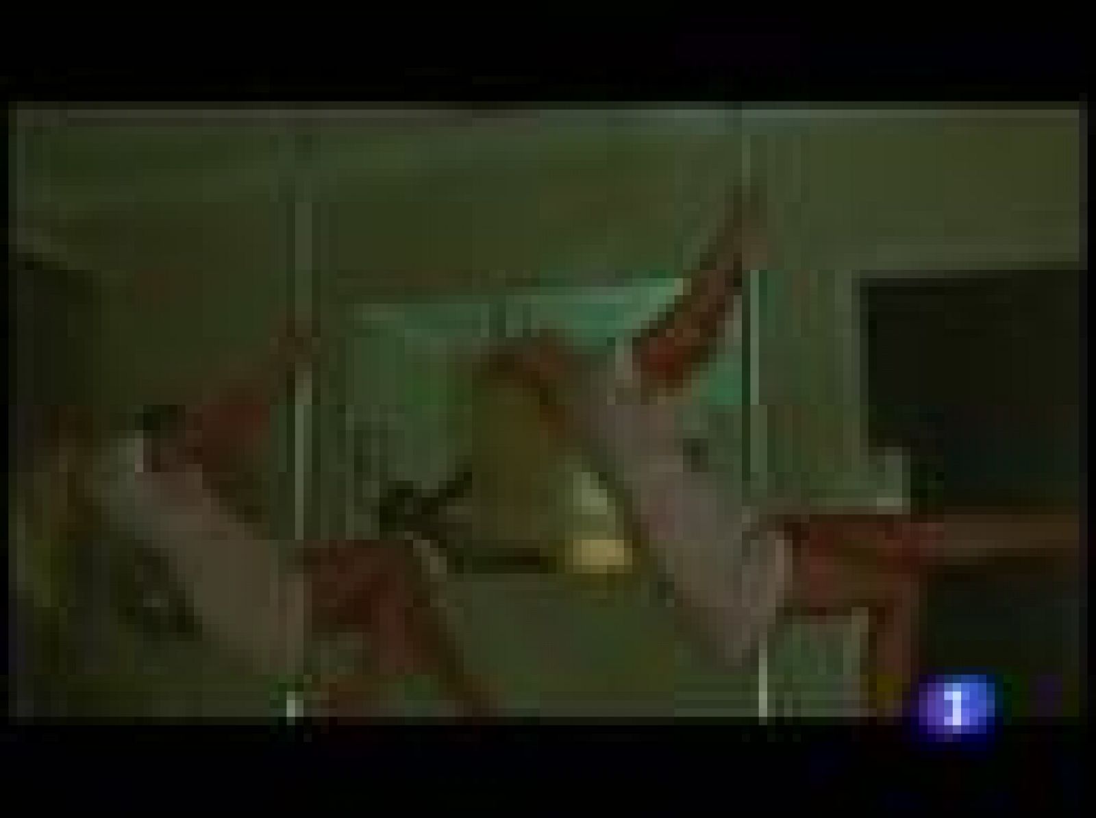 Mostra de Venecia: Sofía Coppola presenta 'Somewhere' | Ver