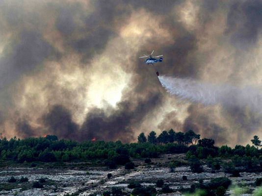 Un brigadista forestal detenido