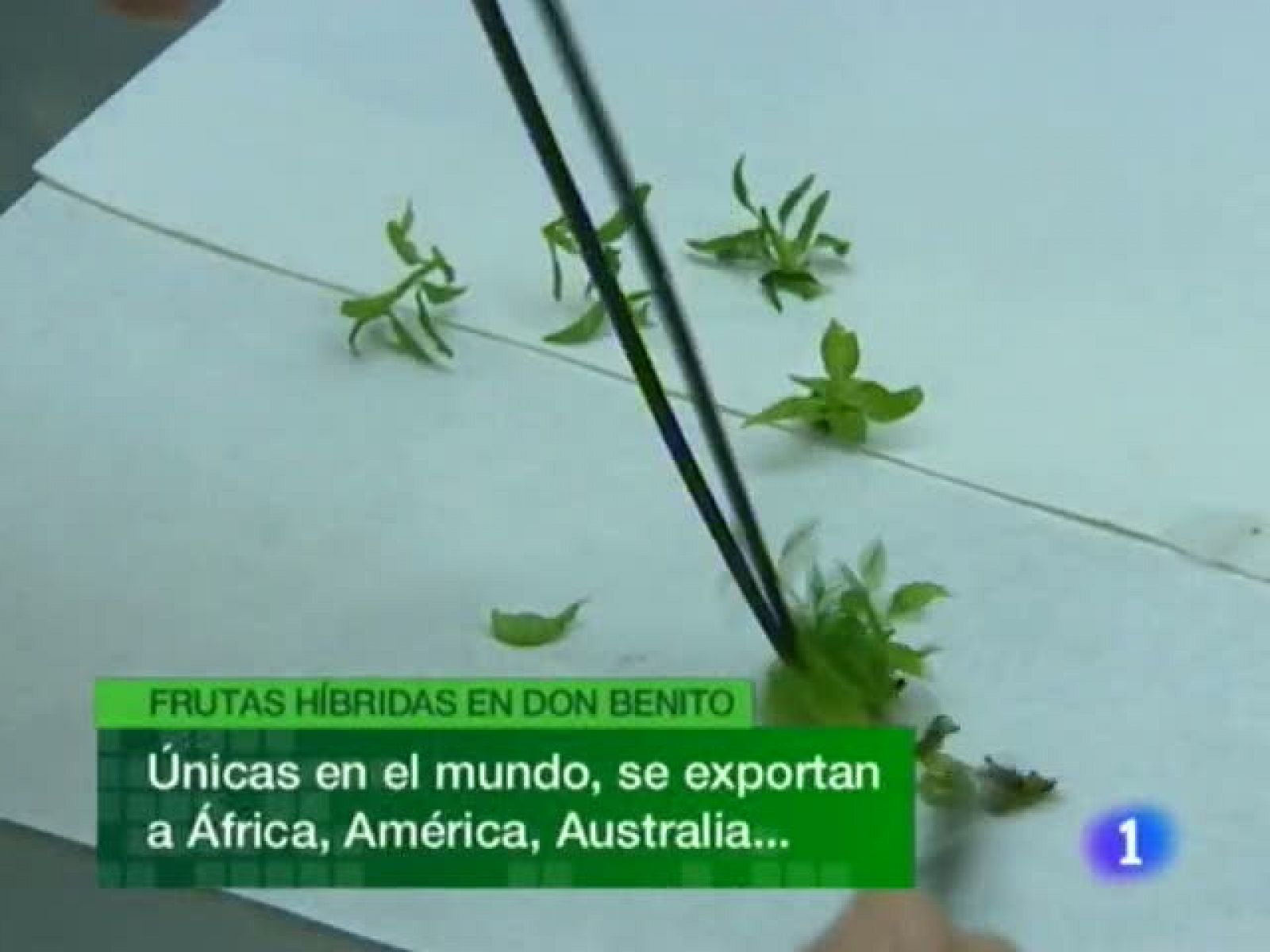 Noticias de Extremadura. Informativo Territorial de Extremadura. (09/09/2010)