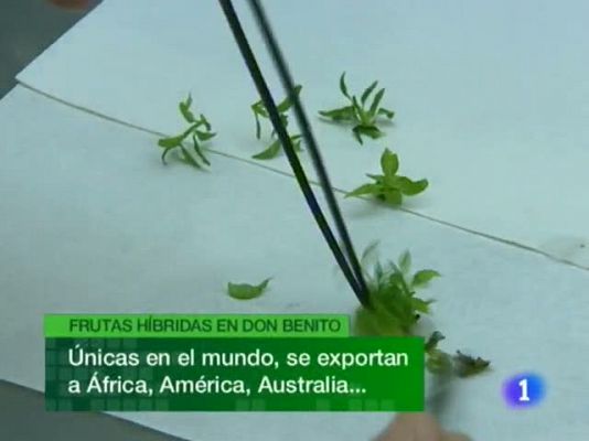 Noticias de Extremadura - Noticias de Extremadura - 09/09/10