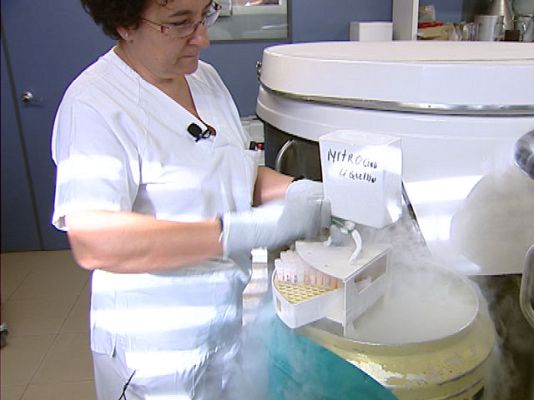 Ciencia y tecnología en Rtve.es - Trasplantes de tejido ovárico