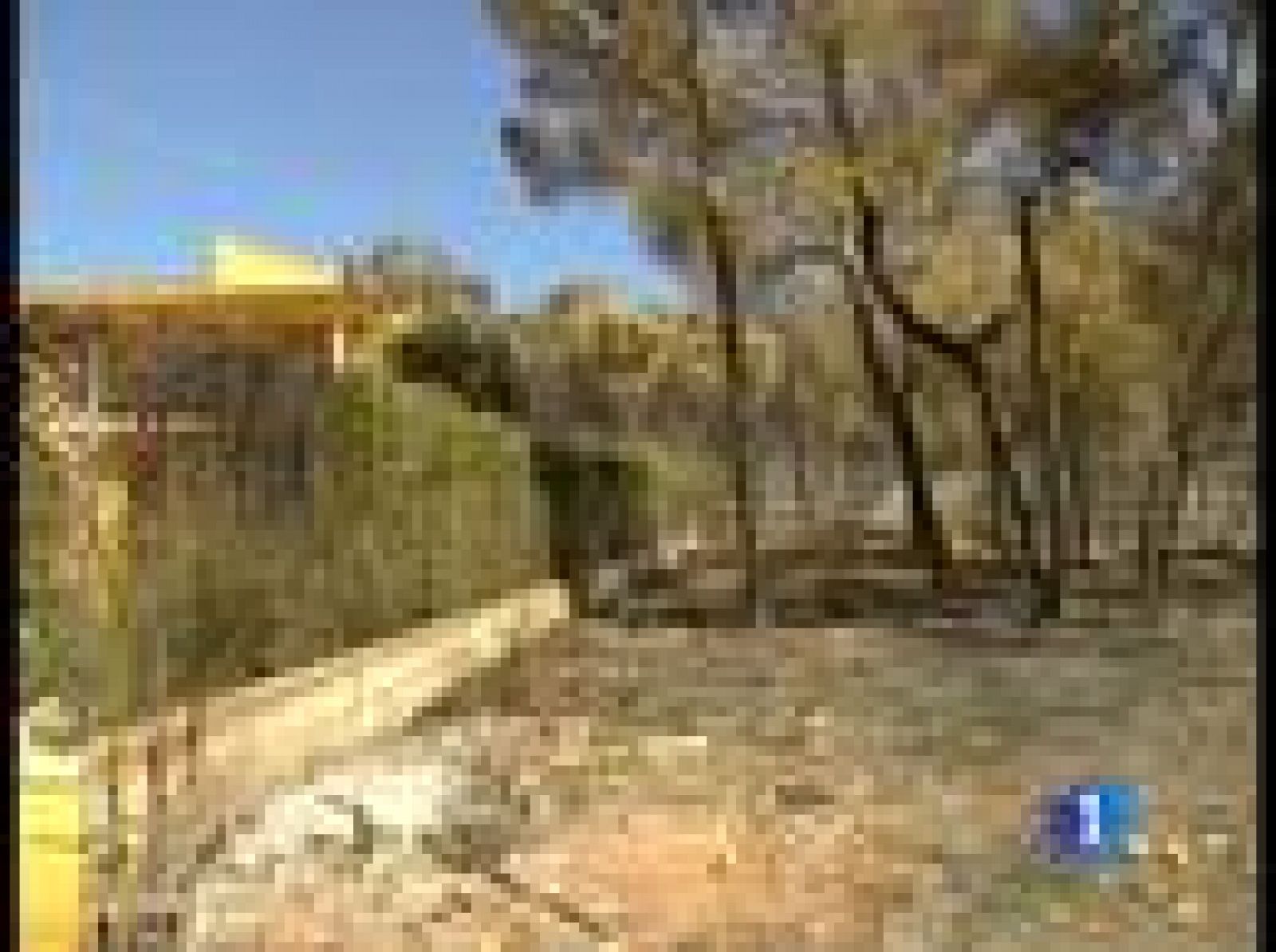 Controlados los incendios de la Comunidad Valenciana | Ver