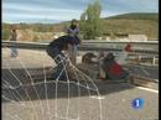  - Disturbios por el carbón