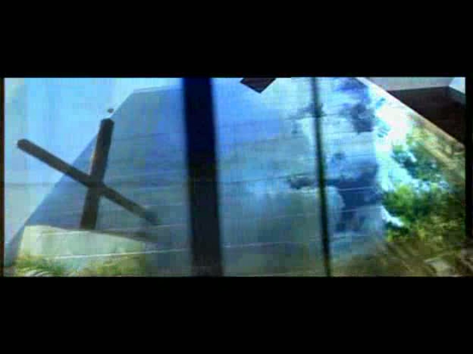 Día del Señor - Base aérea de Armilla - El día del Señor | Ver