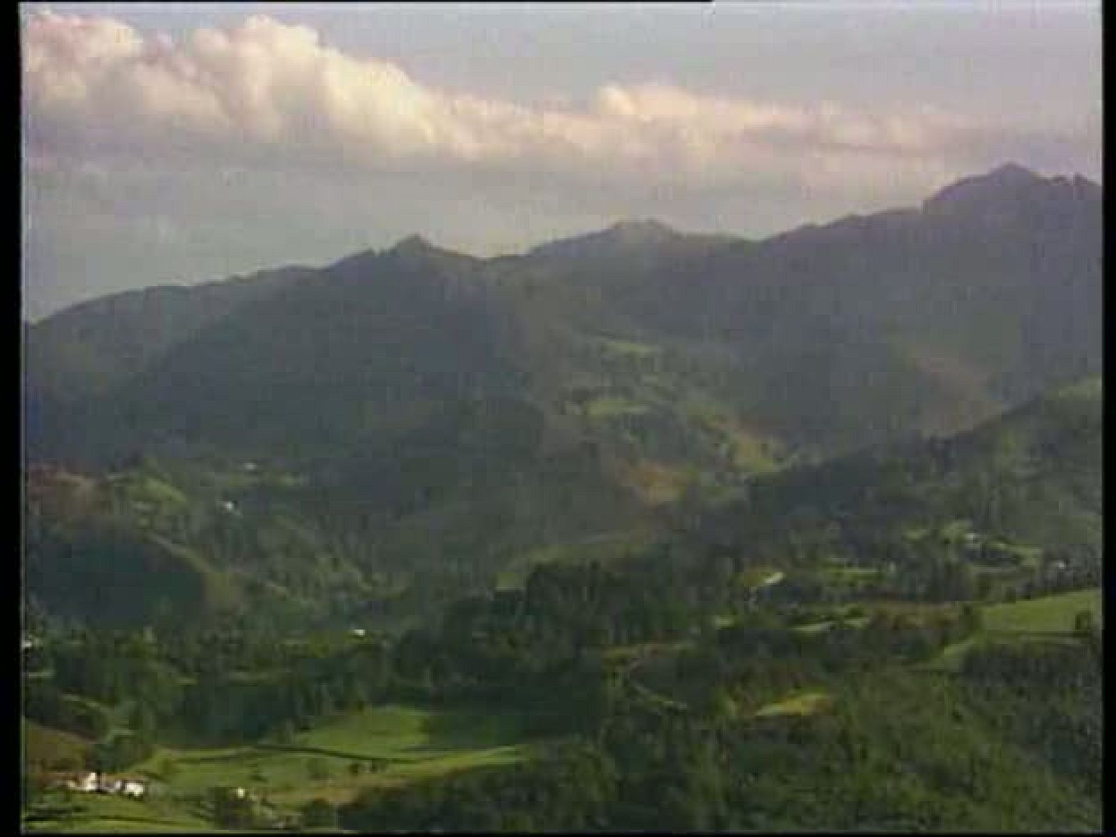 Navarra al natural - Ruta por el valle de Ulzama: el robledal de Orgui - Navarra al natural | Ver