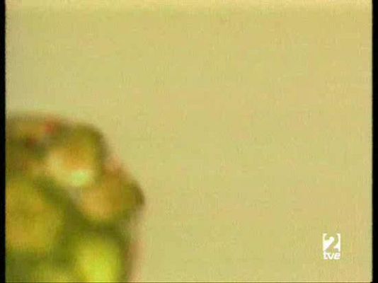 A pedir de boca - El atún