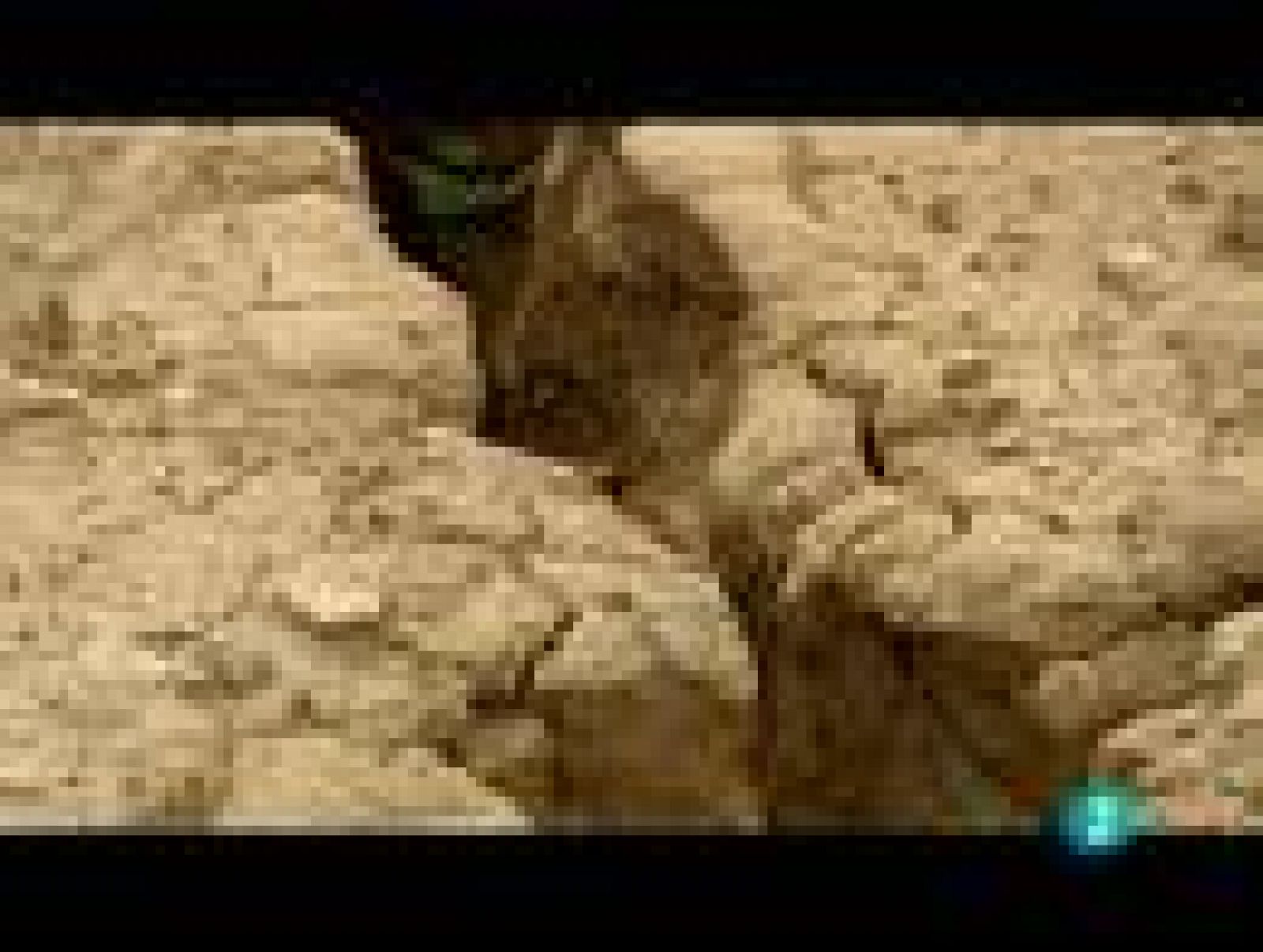 Espacios naturales - Las tareas del agua - Las nuevas fuentes | Ver