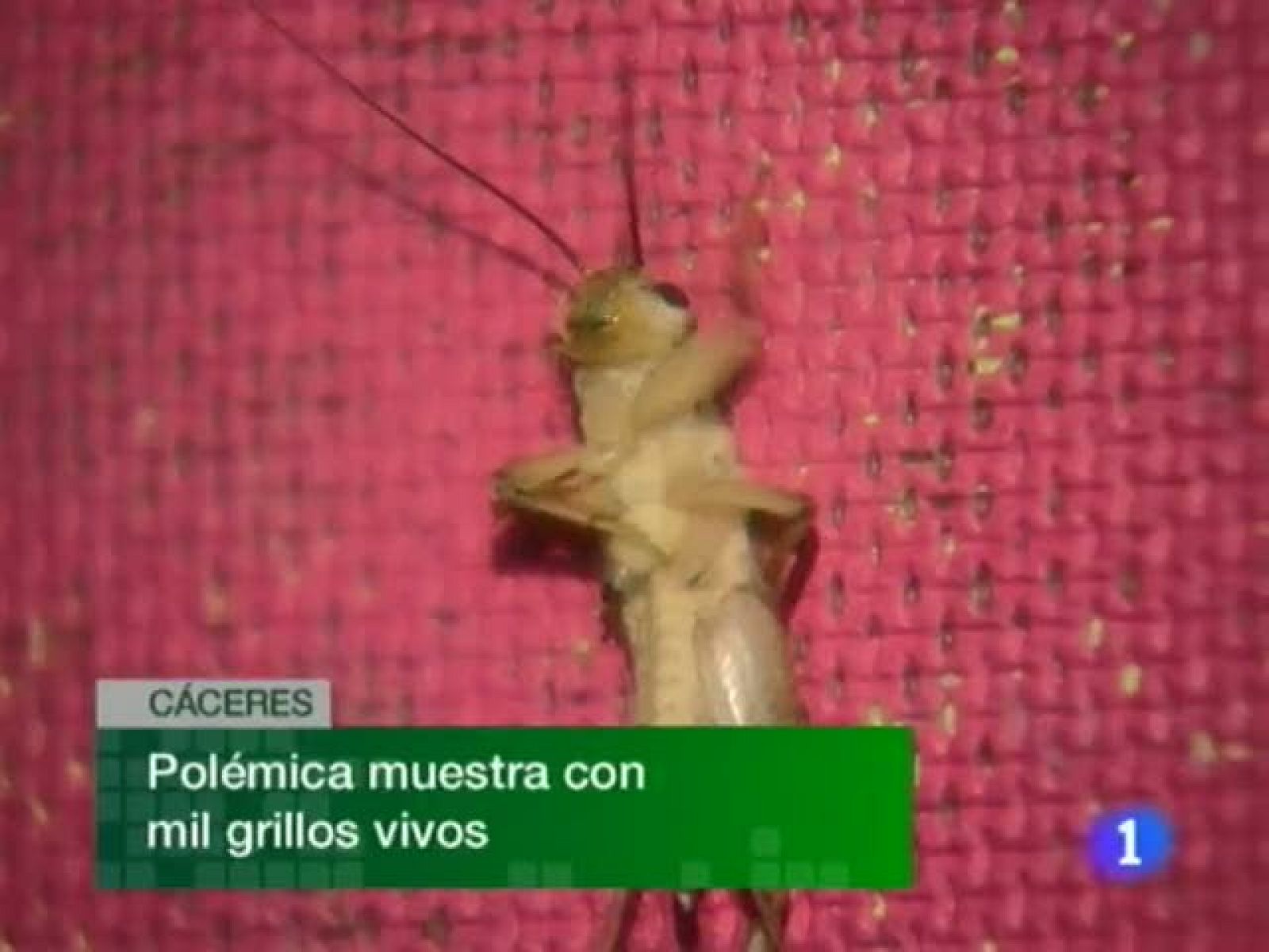 Noticias de Extremadura. Informativo Territorial de Extremadura. (15/09/10)