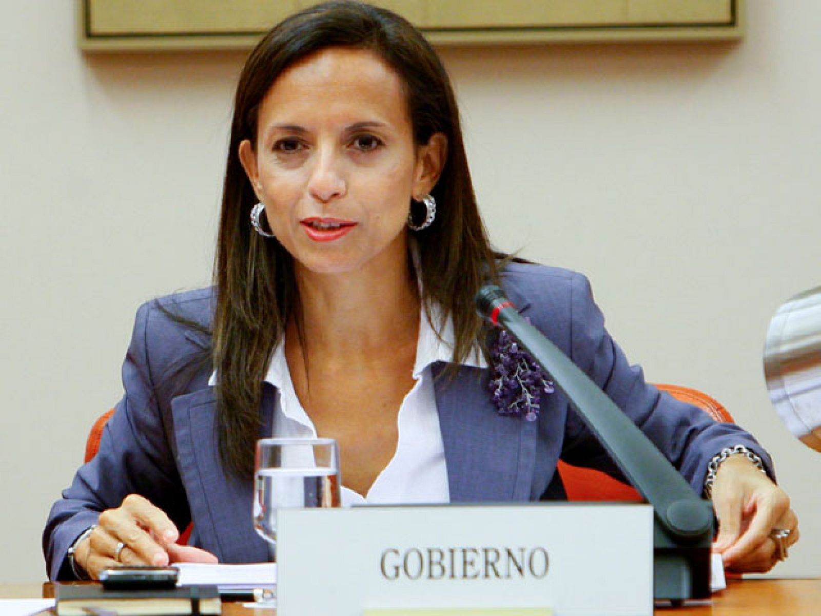 La ministra de Vivienda ha dicho que hay que ser prudentes sobre la reciente subida en el precio de los pisos porque el comportamiento es diferente según la localización geográfica.