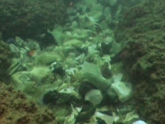 Ciencia y tecnología en Rtve.es - Contaminación de los mares