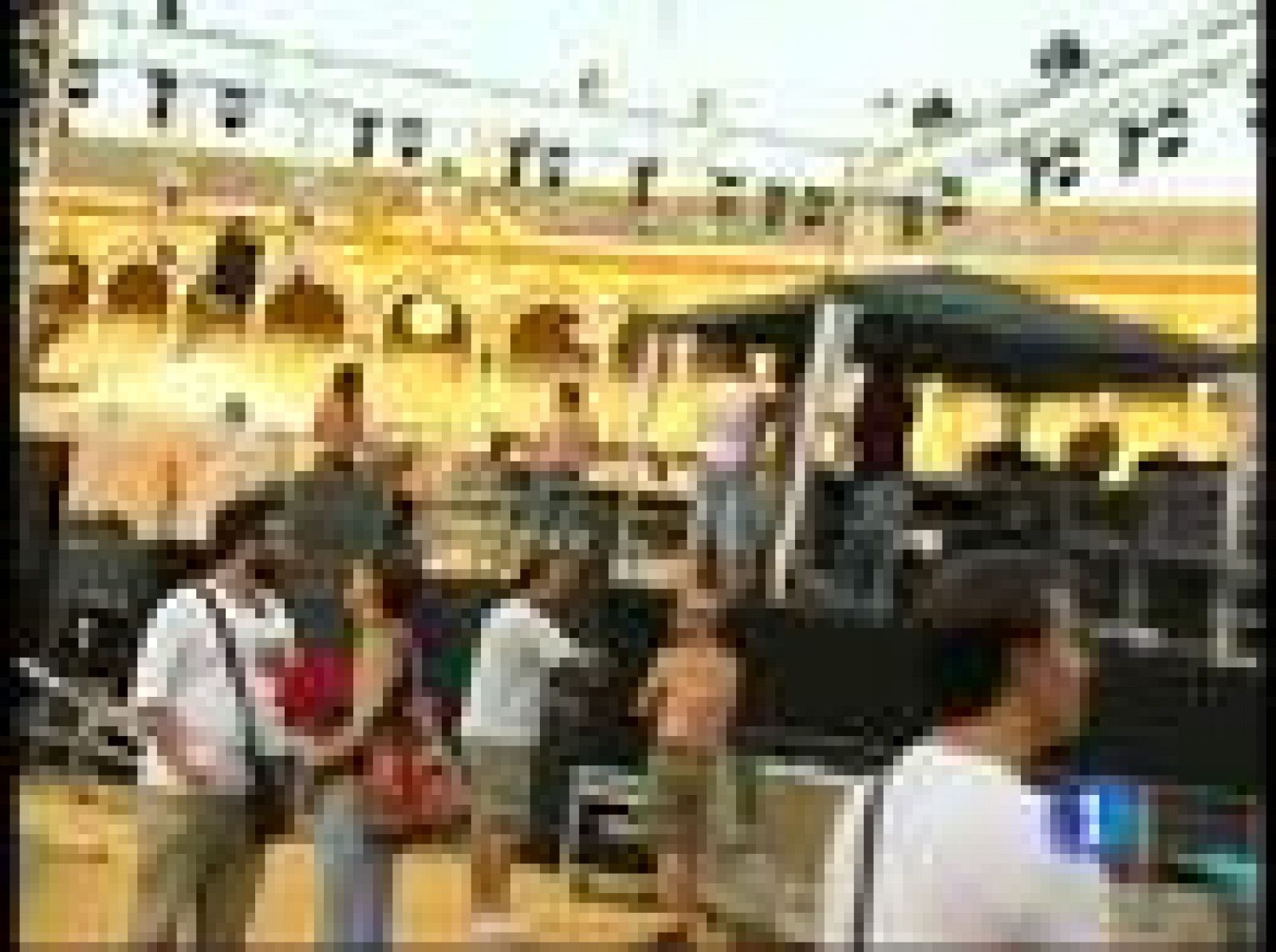 Miguel Poveda es el encargado de abrir la Bienal de Flamenco de Sevilla | Ver