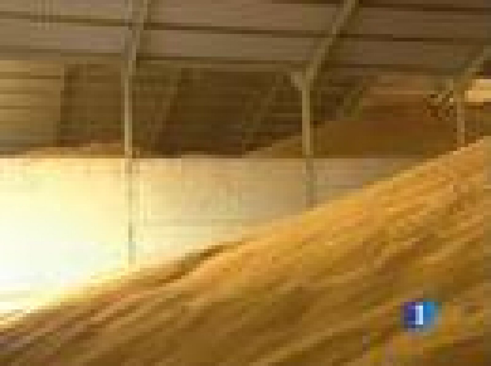 Sin programa: El precio del trigo se dispara | RTVE Play