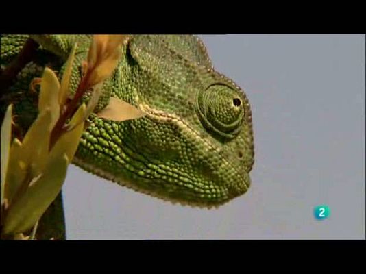 Biodiario - Cambiar de colores según la ocasión