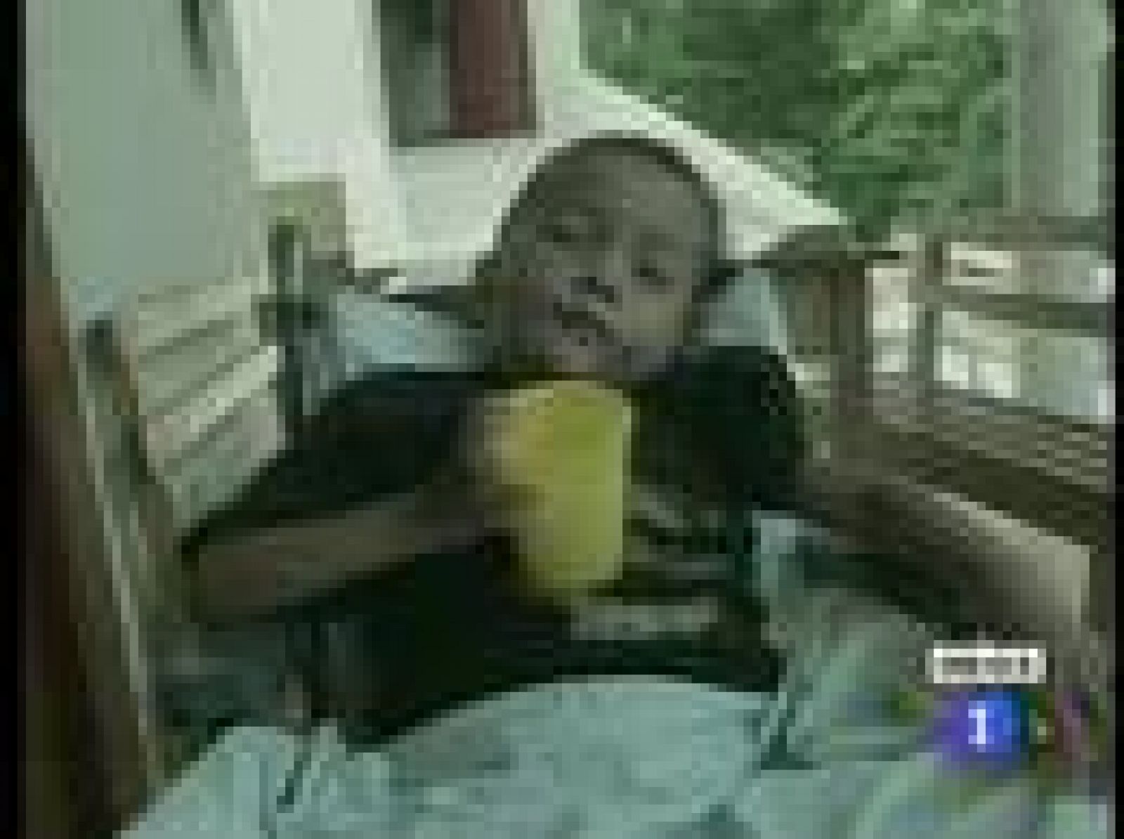 La ONU pedirá una inversión más inteligente para alcanzar los Objetivos del Milenio | Ver