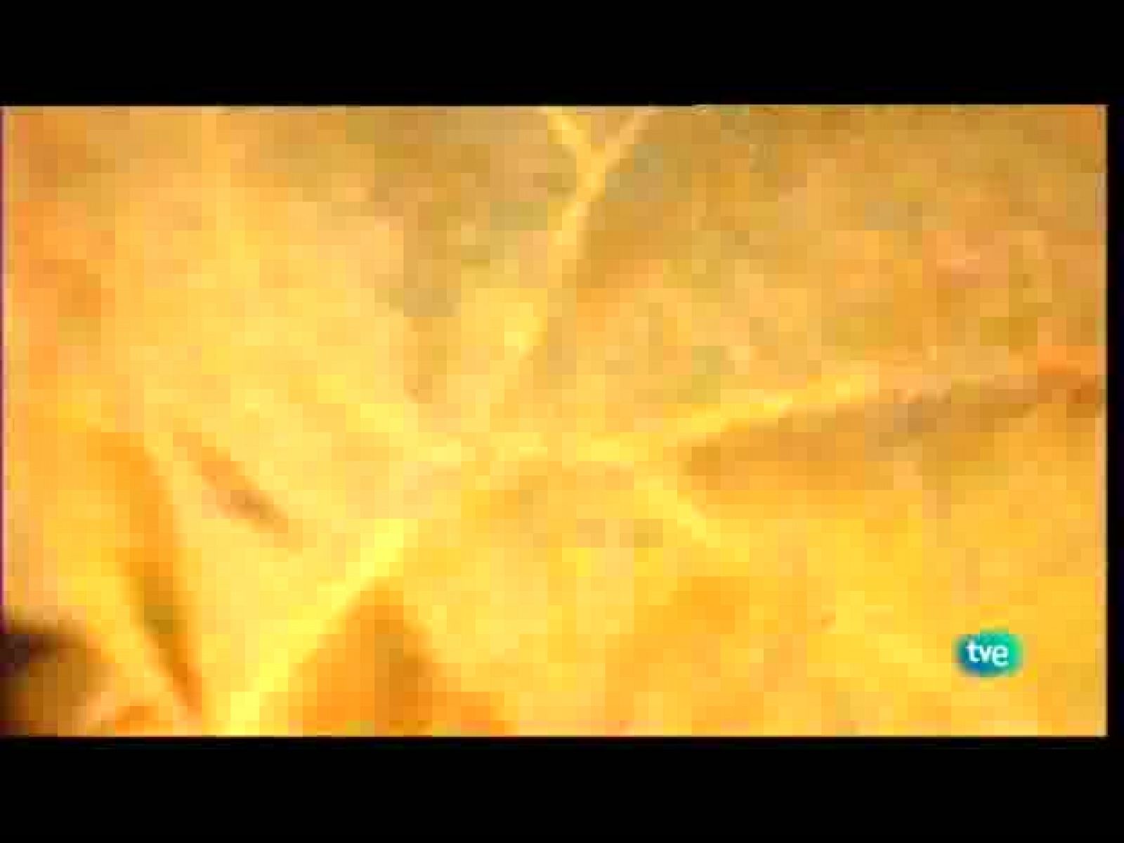 Con visado de calle - 21/09/10 - Con visado de calle | Ver