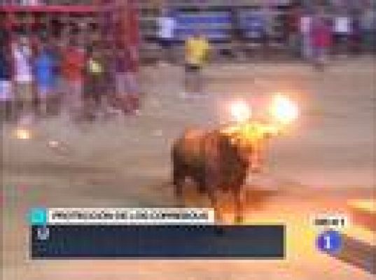  - Cataluña blindará los correbous