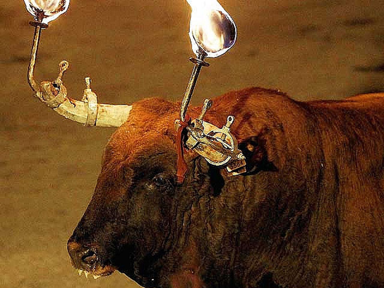 El Parlamento de Cataluña blindará los 'correbous' este miércoles en el último pleno de la legislatura, con la aprobación de la ley que regula estas fiestas tradicionales taurinas sin muerte del animal, una norma impulsada por CiU que cuenta con el apoyo de todos los grupos, salvo el de ICV-EUiA, que se desmarcará de nuevo de los socios del tripartito.