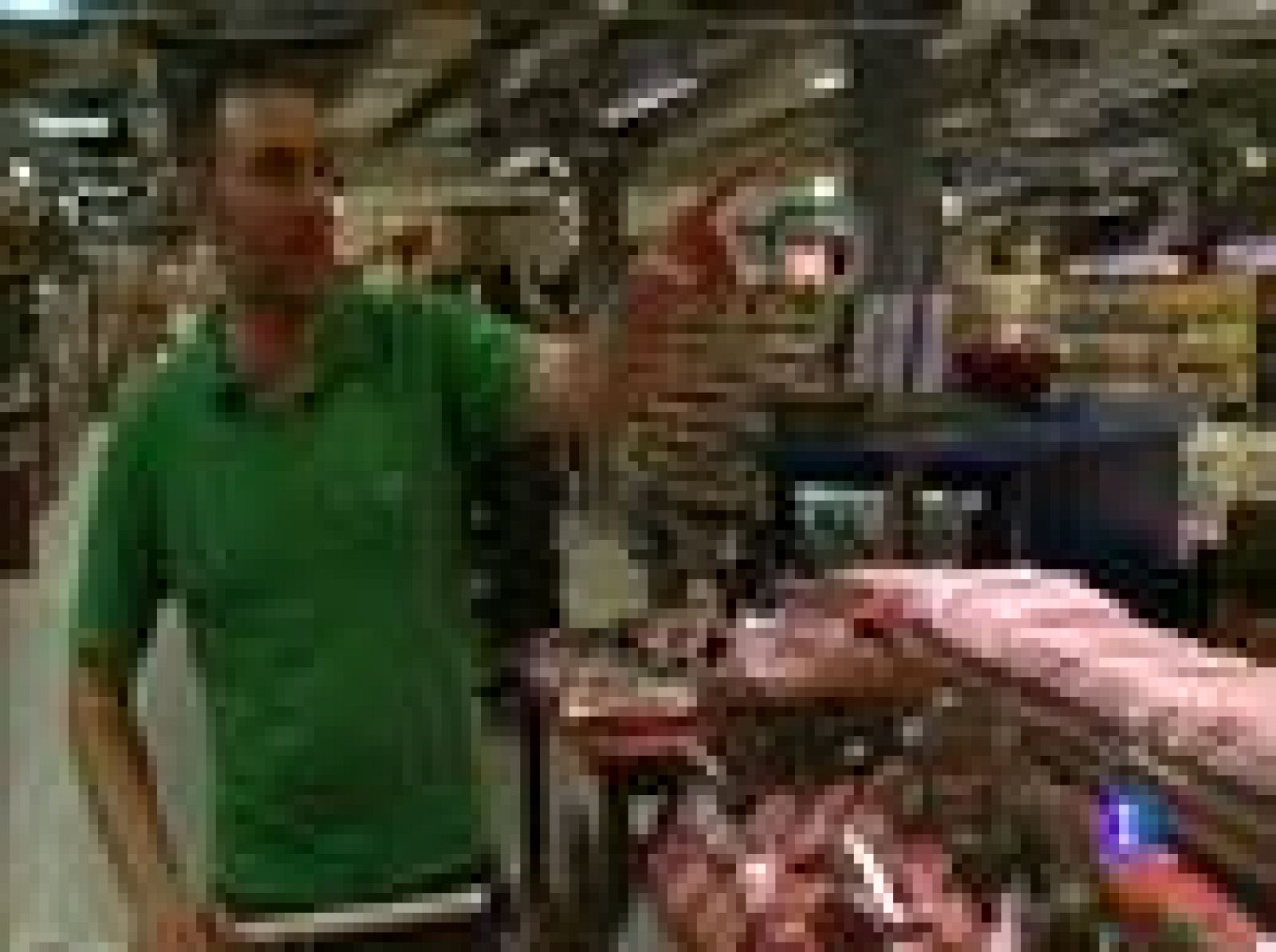 Españoles en Moscú: Alejo