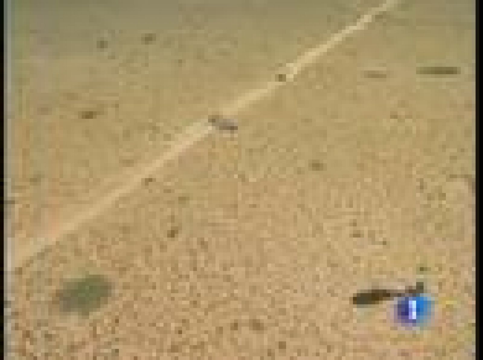 Al Qaeda rapta a varios trabajadores de una empresa francesa en Níger | Ver