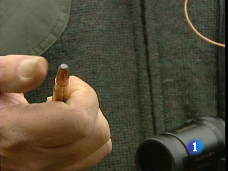  El plomo de la munición de los cazadores es perjudicial para el medio ambiente