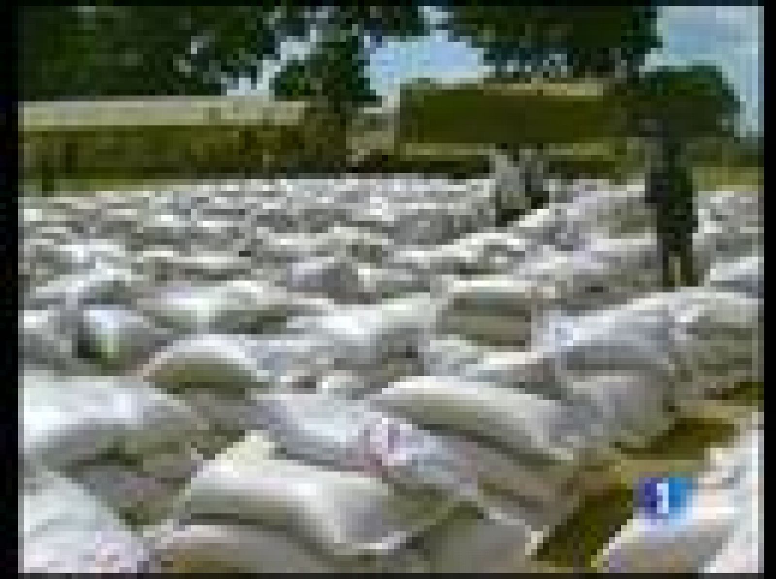 Acaba en Nueva York la Cumbre del Milenio tras tres días de sesiones en las que se han escuchado muchas promesas para lograr los ocho objetivos en 2015 y pocas realidades.