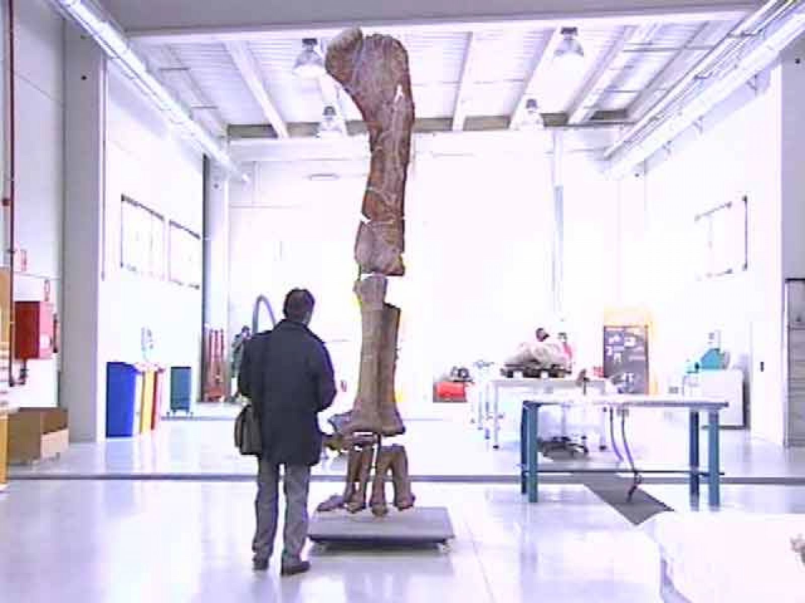 El fémur de dinosaurio más grande de Europa, en Teruel