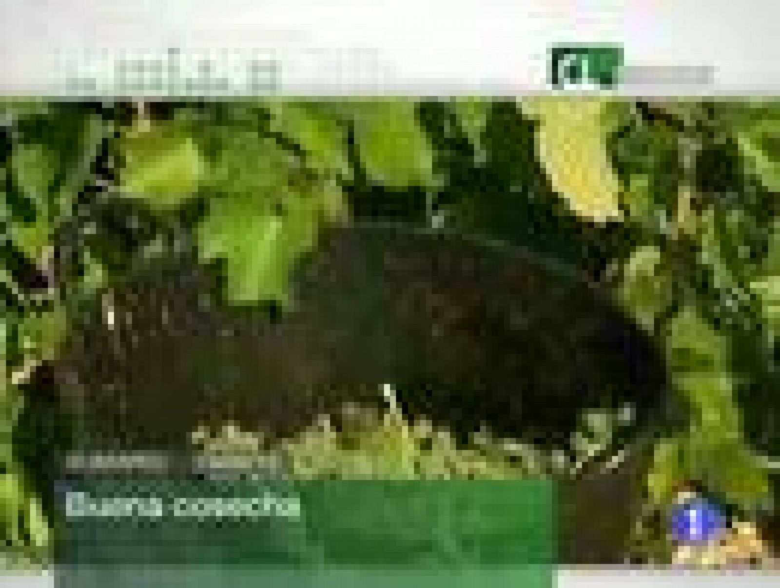 Noticias Castilla y León. Informativo Territorial de Castilla y León. (23/09/2010)