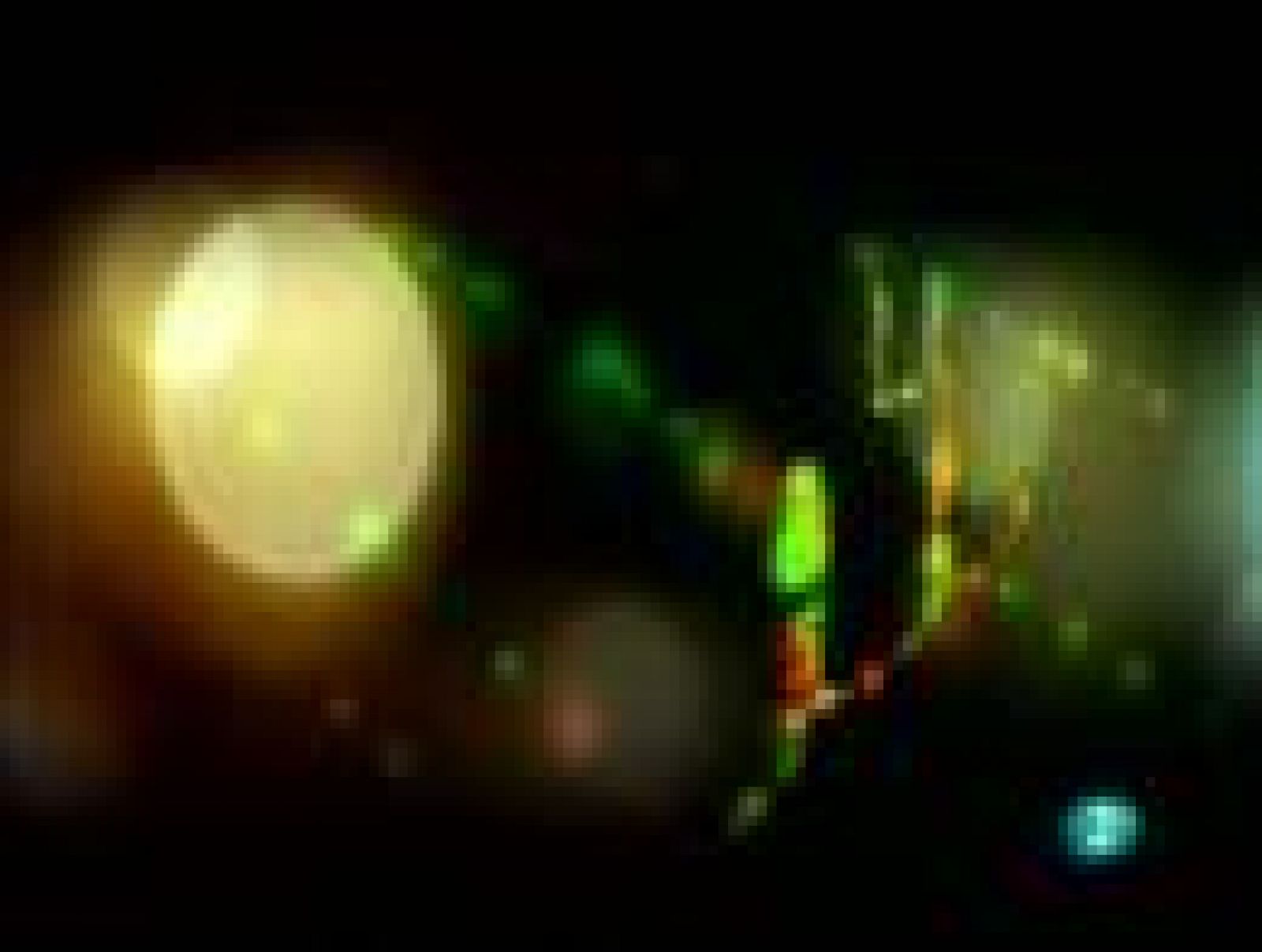 Días de cine - Las películas del Festival de San Sebastián (y II) | Ver