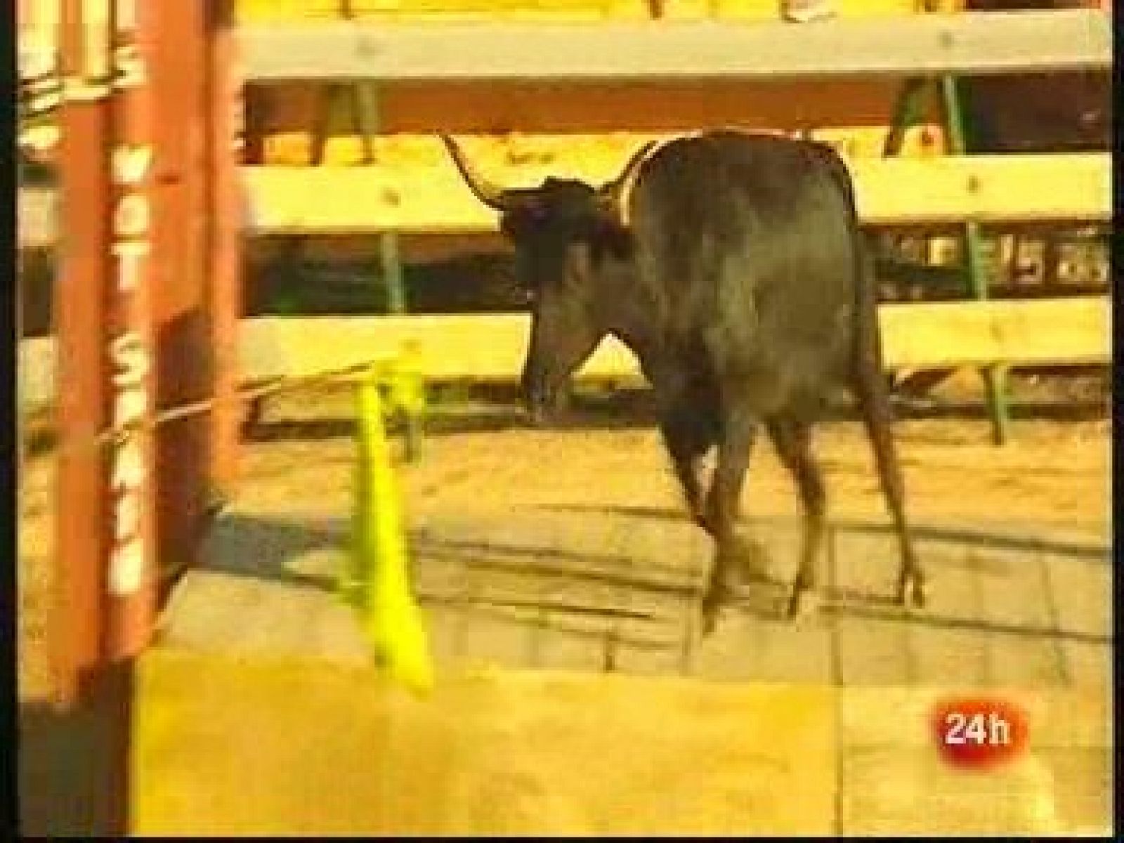 Aqui parlem (23/09/2010): Els correbous