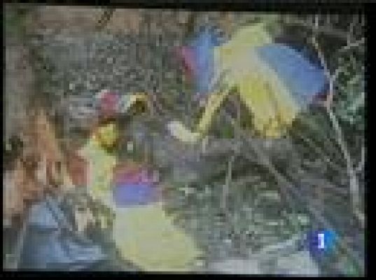  - Las FARC rechazan la rendición