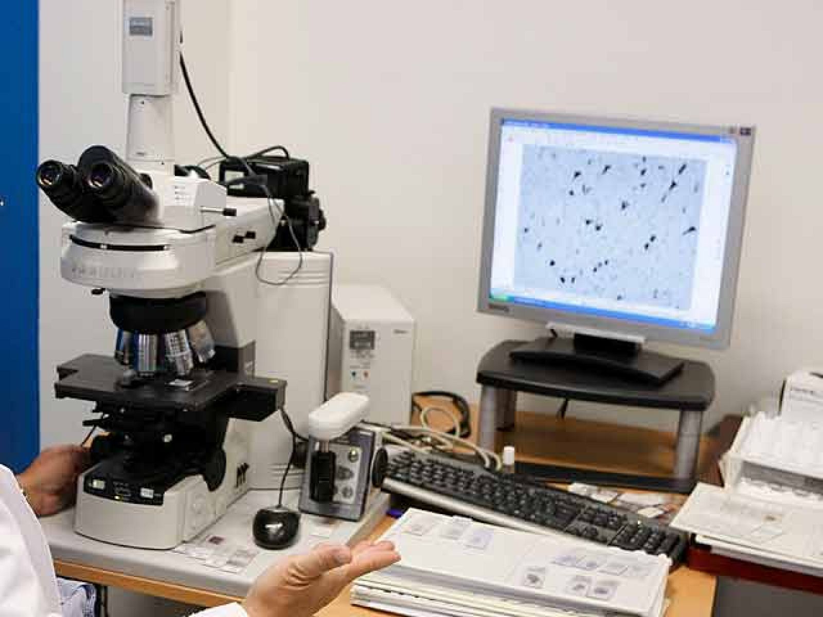 El único futuro de los jóvenes investigadores españoles, la caza de una beca