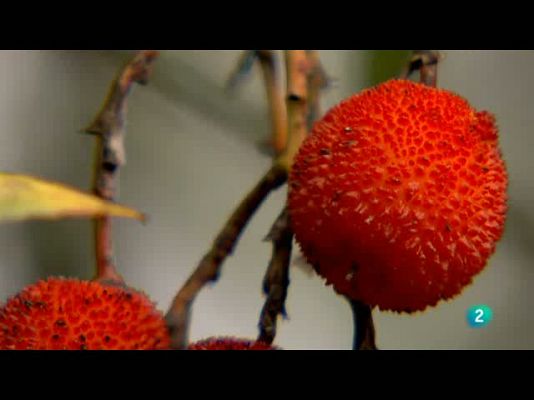 Biodiario - 25/09/10