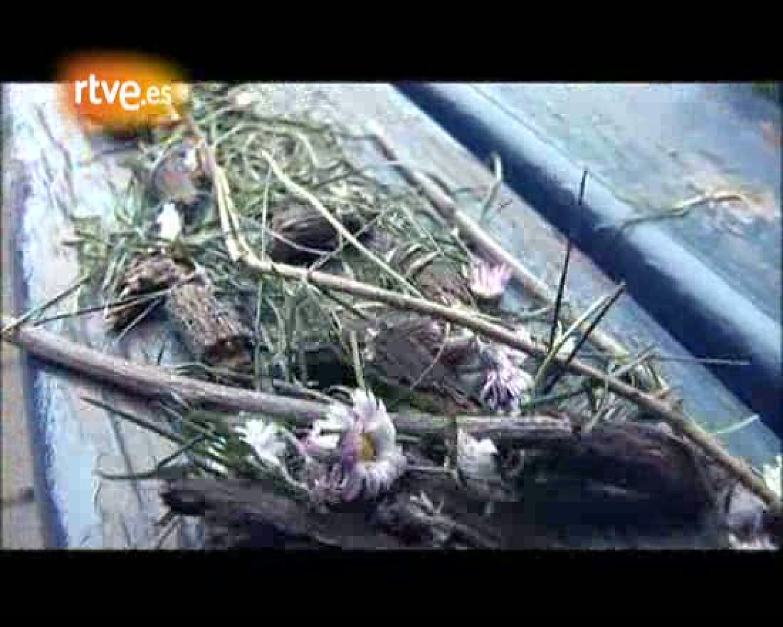 Ciudad K - Capítulo 2: Peluquería - Ciudad K | Ver