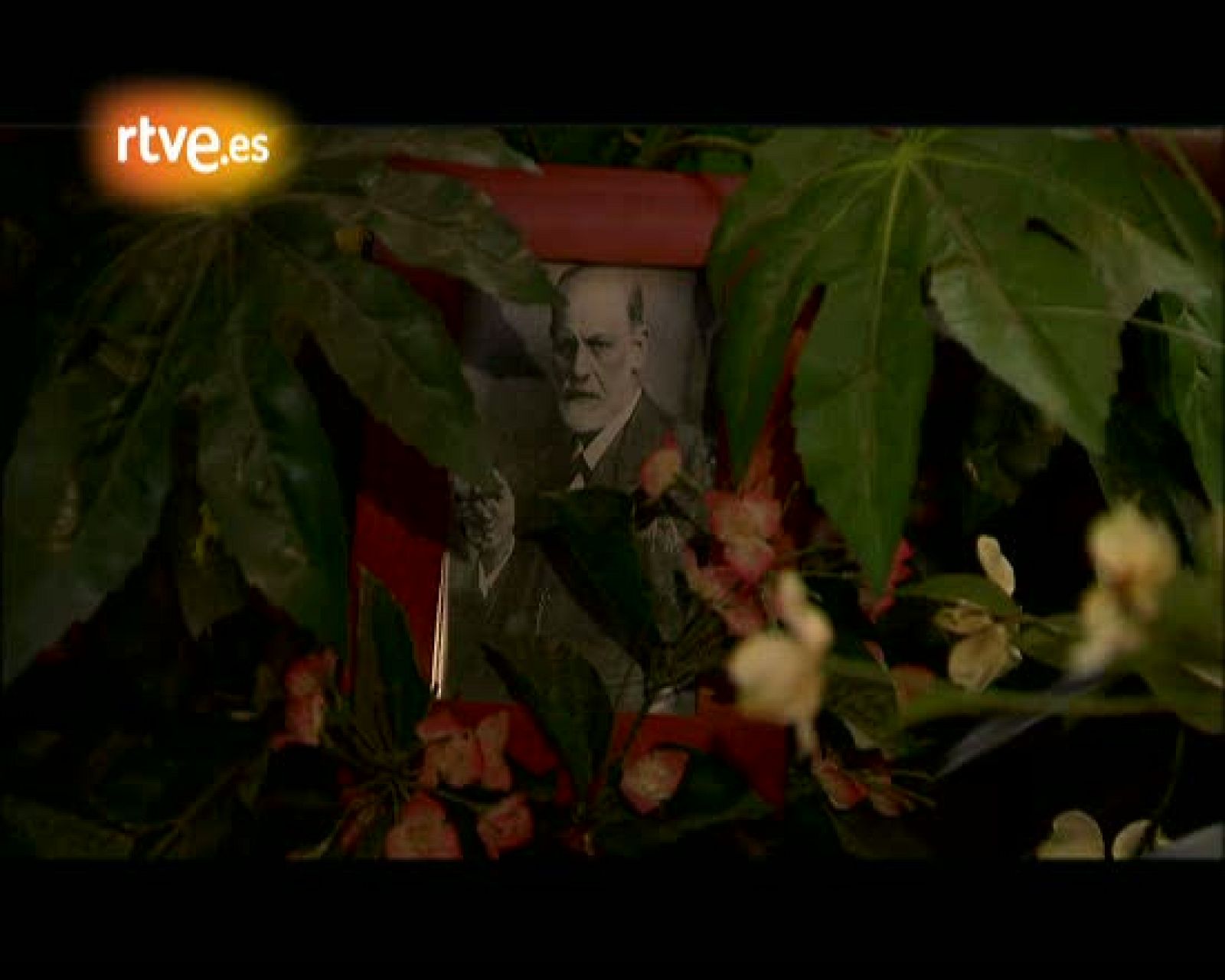 Ciudad K - Capítulo 2: Diván del psicoanalista - Ciudad K | Ver