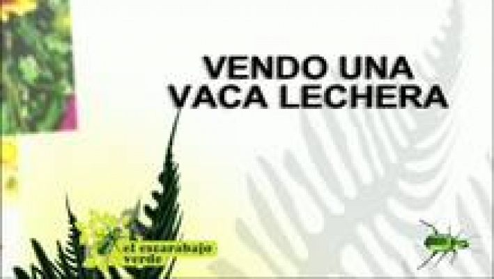 Vendo una vaca lechera