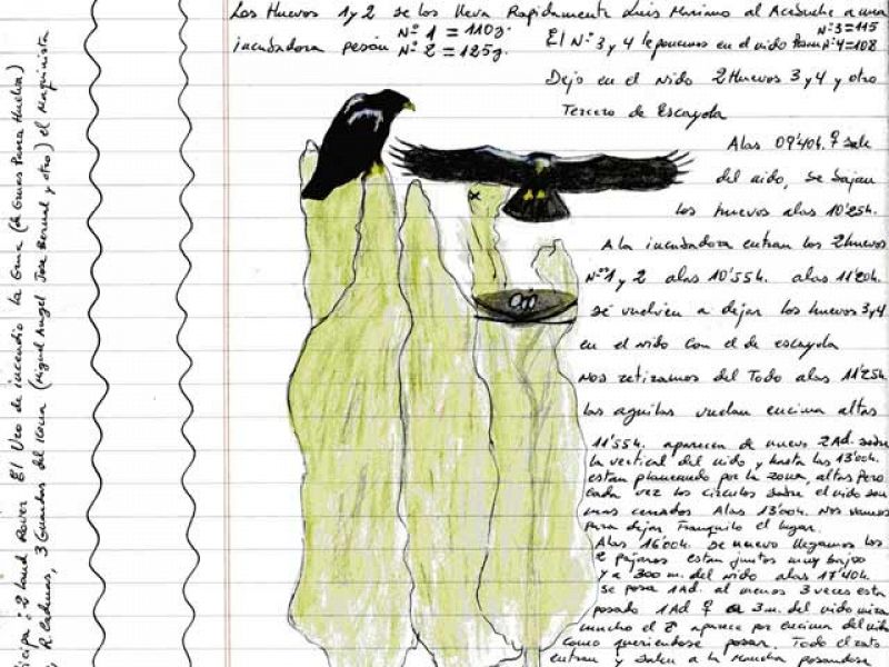 Los cuadernos de campo de Doñana, online