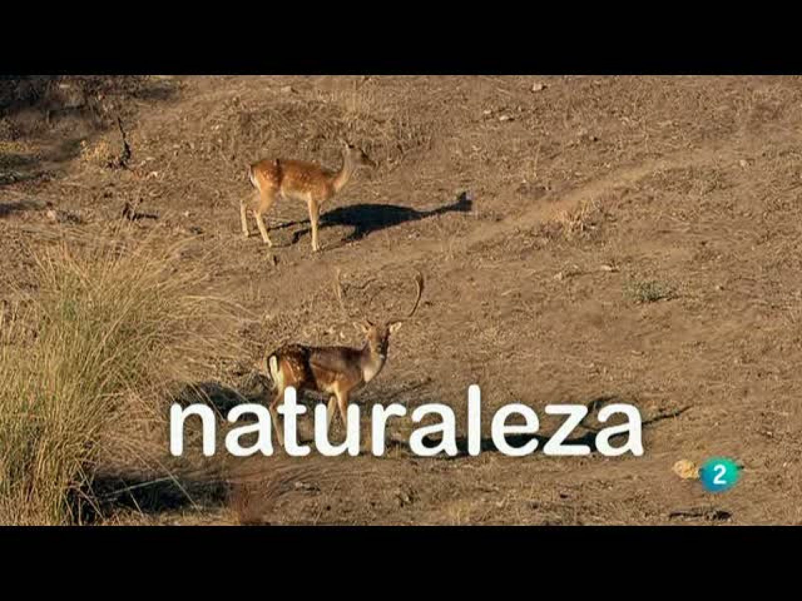 Biodiario (27/09/10)